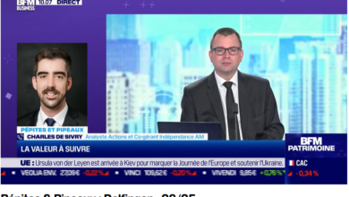 Charles de Sivry, equity analyst and co-manager at Indépendance AM, reports on Delfingen, 🌟 world leader in electrical wiring protection, in Pépites & Pipeaux on BFM TV]