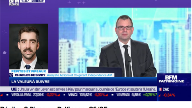 Charles de Sivry, analyste Actions et co-gérant chez Indépendance AM, fait le point sur Delfingen, 🌟 leader mondial de la protection des câblages électriques, dans Pépites & Pipeaux sur BFM TV